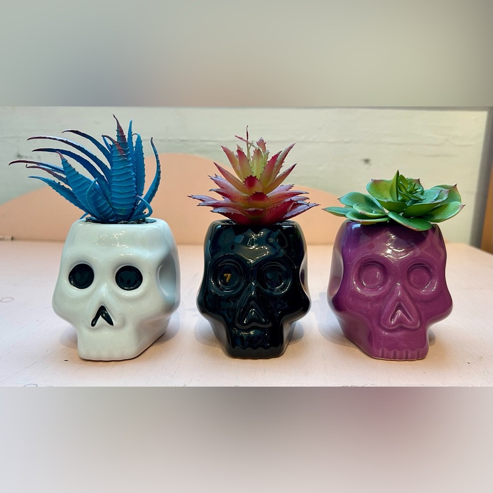 Target 2019 Halloween Skull 3 Planter Set Hyde & Eek Ghoulish Garden